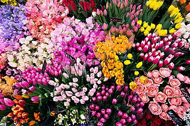 《LOOP8 降神》“テラス”介绍影片公布 游戏明年3月发售